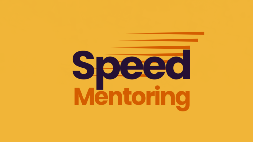 Southern Region Speed Mentoring  image