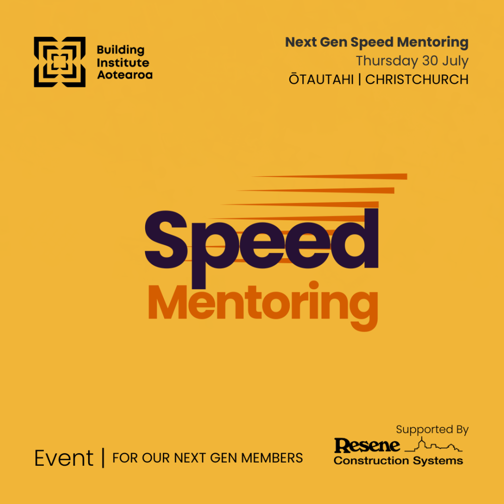 Southern Region Speed Mentoring  image